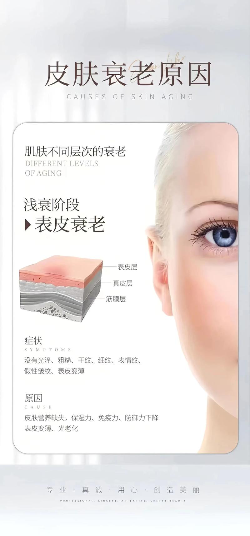 抗衰